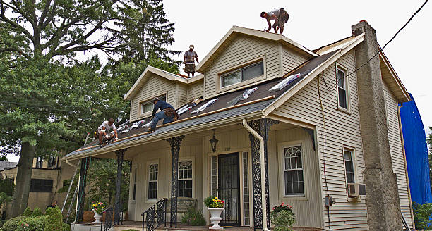 Best Roof Leak Repair  in Oberlin, KS
